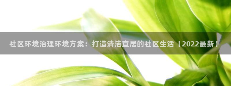 凯发k8一触即发：社区环境治理环境方案：