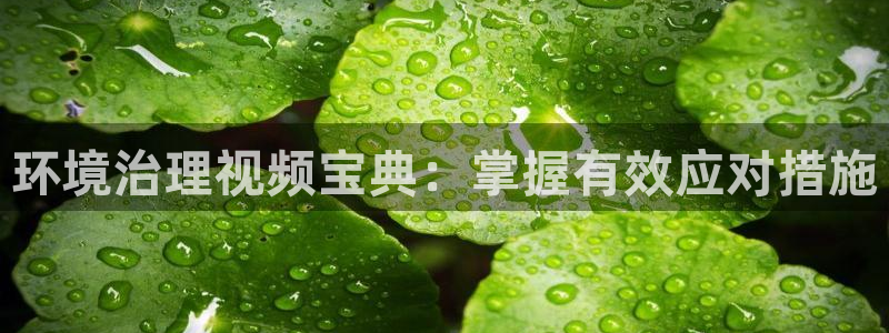 凯发网娱乐官网登录：环境治理视频宝典：掌握有效应对措施