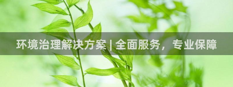 凯发k8国际首页登录|环境治理解决方案 