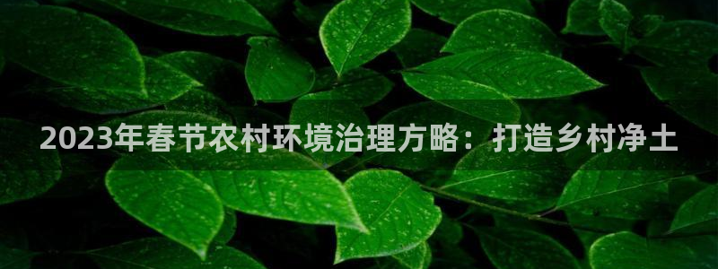 凯发网娱乐官网登录|2023年春节农村环境治理方略：打造乡村净土