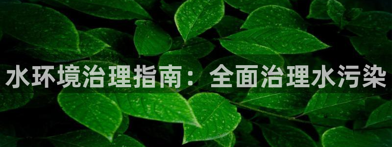 凯发网娱乐官网登录|水环境治理指南：全面治理水污染