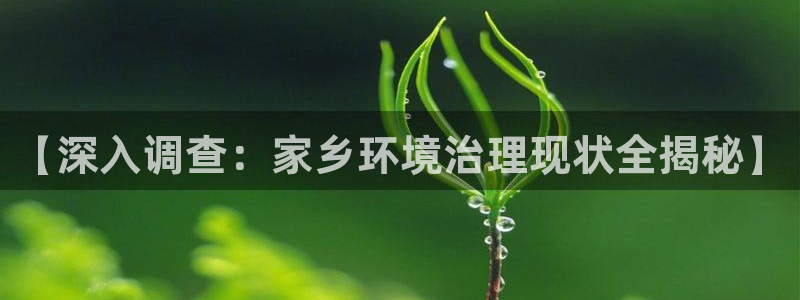 凯发k8天生赢家一触即发|【深入调查：家